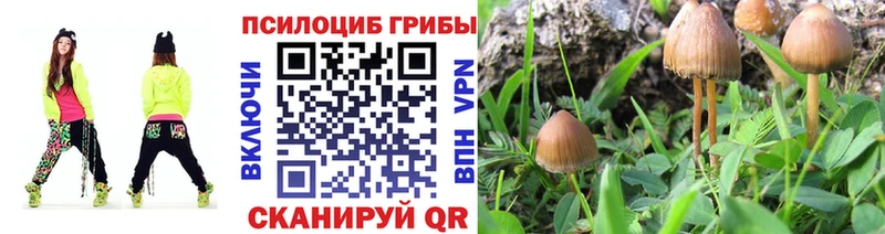 Купить  Северск  Галлюциногенные грибы ЛСД 